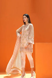 Beautiful Pakistani fancy dress with price