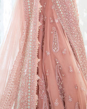 Baby Pink Lehenga Choli
