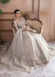 Beautiful Bridal Grey Lehenga Choli Dupatta Dress for Wedding