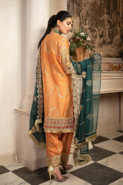 Beautiful Mehndi dress