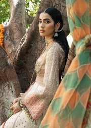 Beautiful Organza Dress Pakistani in Pishwas and Sharara Style