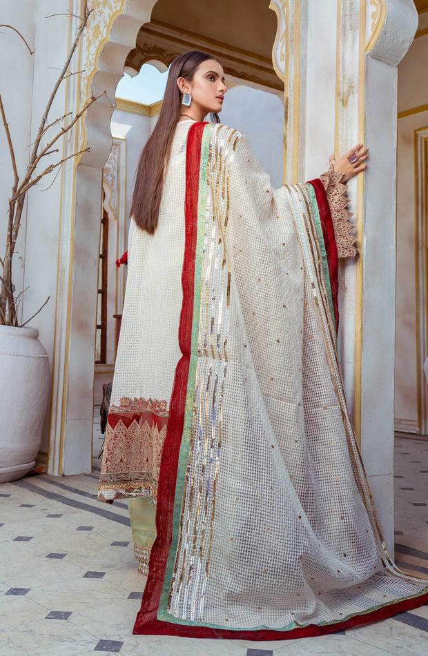 Beautiful Pakistani Embroidered Salwar Kameez and Dupatta Dress