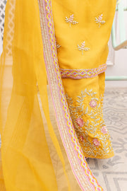 Beautiful Pakistani Raw Silk Salwar Kameez Dupatta Dress