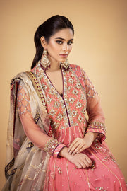 Beautiful Pakistani Wedding Dress in Traditional Pishwas Style
