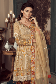 Beautiful and Simple Barat Dress for Women