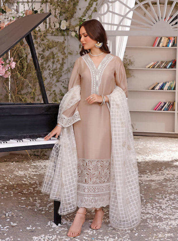 Beige Colored Raw Silk Kameez Trouser Pakistani Eid Dress