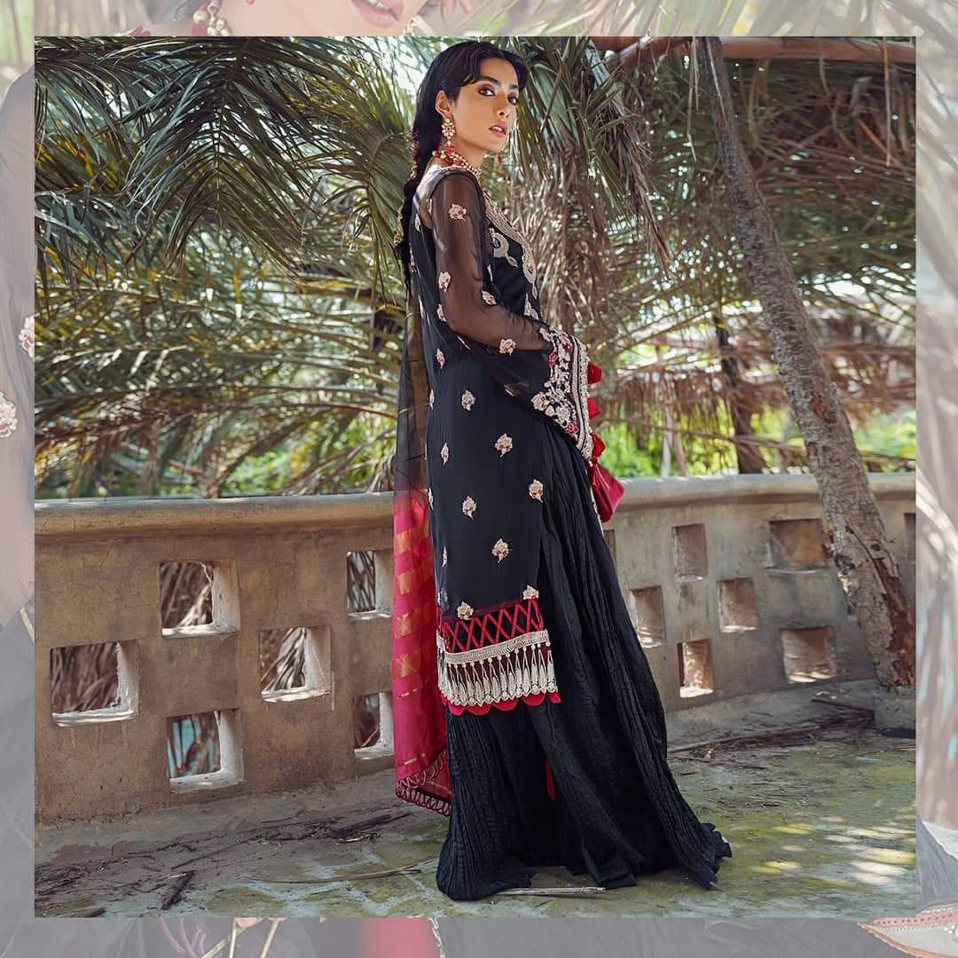 Black Chiffon Shirt With Trouser