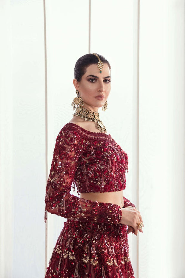 Blood Red Beautiful Indian Wedding Dress