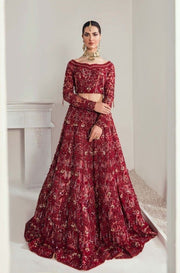 Blood Red Beautiful Indian Wedding Dress for Bride 2022
