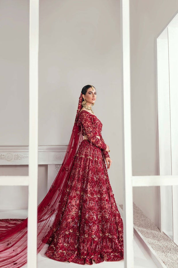 Blood Red Beautiful Indian Wedding Dress for Bride