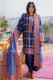 Blue Salwar Kameez