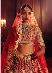 Bridal Lehenga Choli Designer Dress 