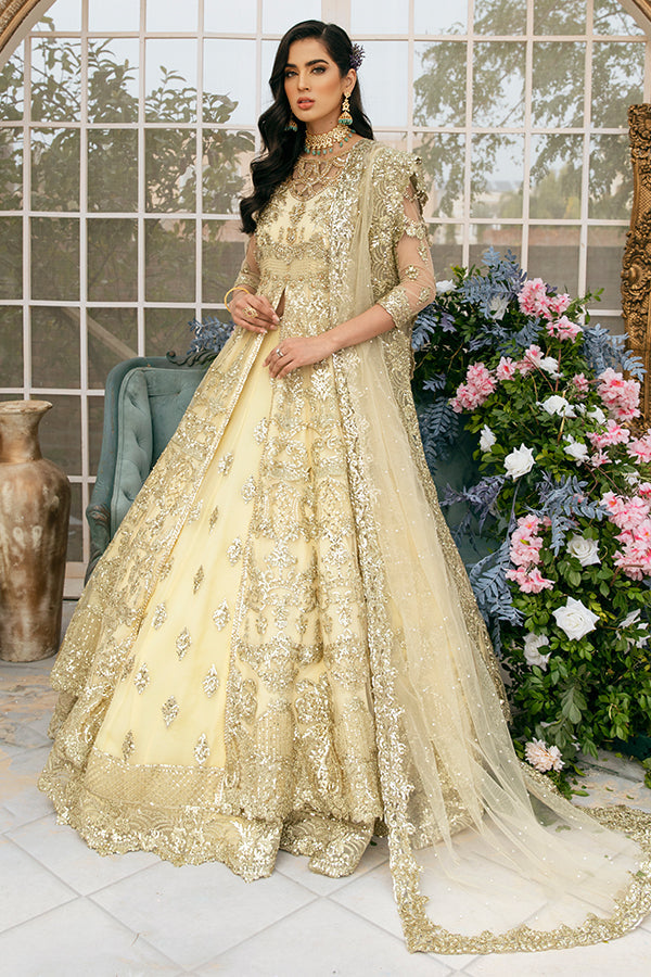 Bridal Lehenga with Front Open Gown Pakistani Dress