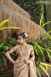 Bridal Saree Design