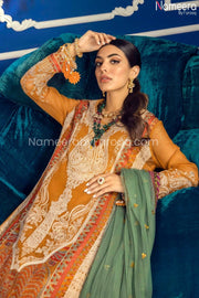 Pakistani Chiffon Dress