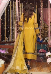 Capri Trousers and Kameez