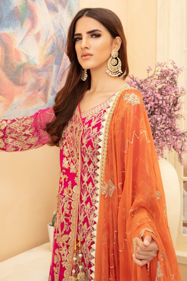 Chiffon Agnrakha Style Party Wear Close Up