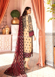 Chiffon Dresses Pakistani for Girls