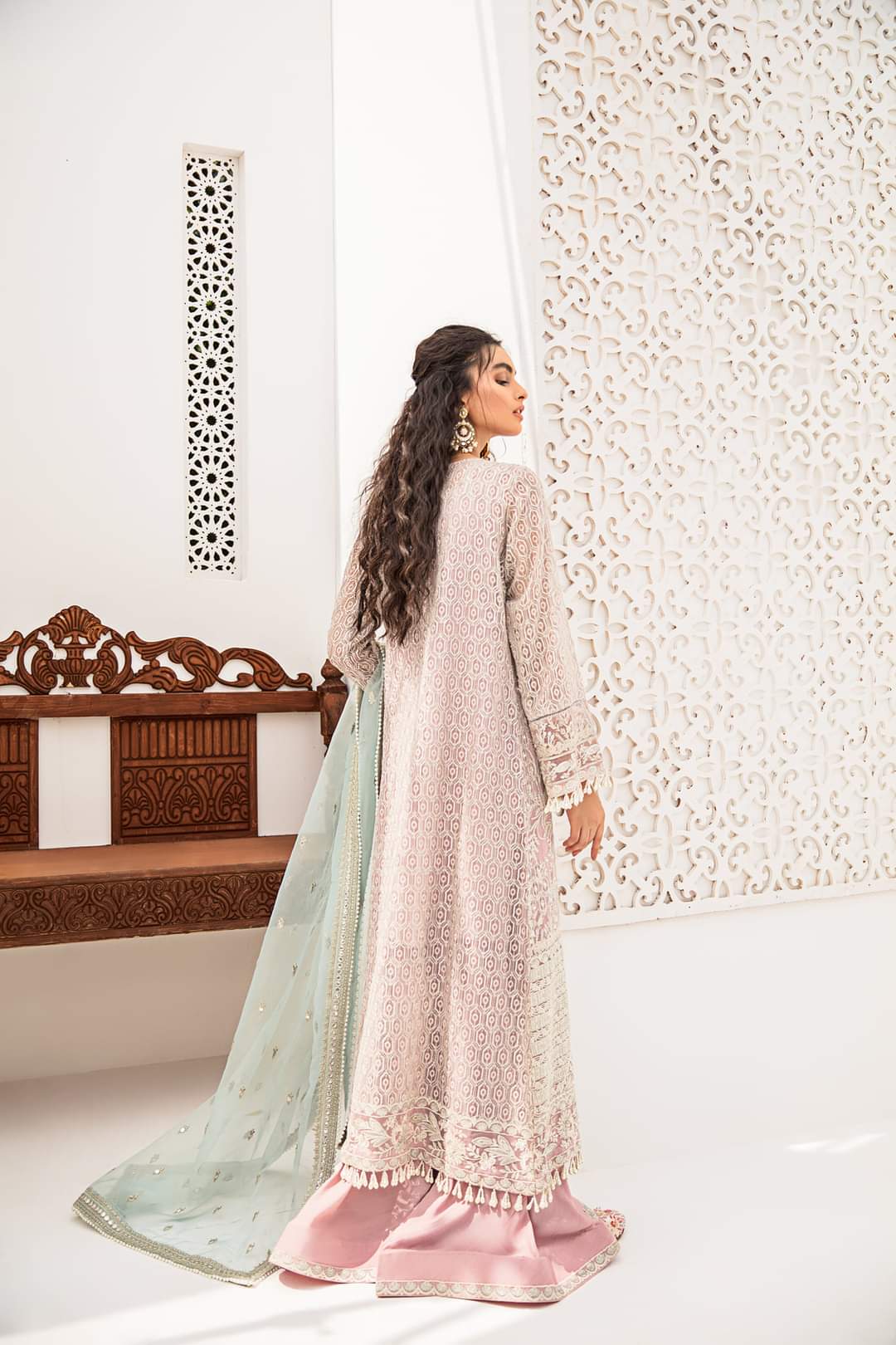 Chiffon Embroidered Dress in Lilac Color Backside Look