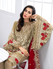 Chiffon Party Wear