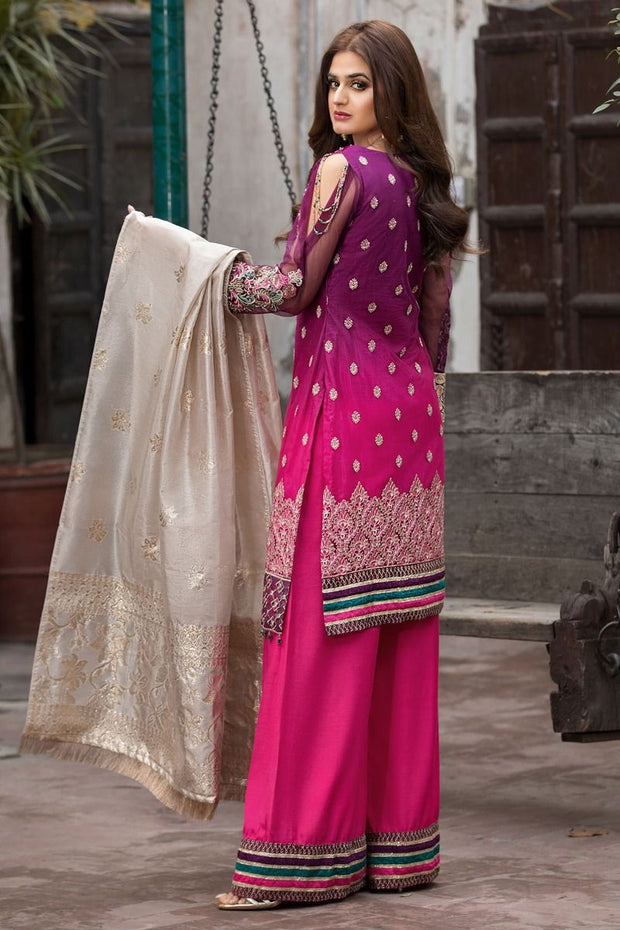 Chiffon Party Wear with Embroidery Backside View