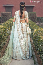 Choli Lehenga