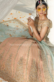 Choli Lehenga