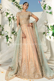 Choli Lehnga