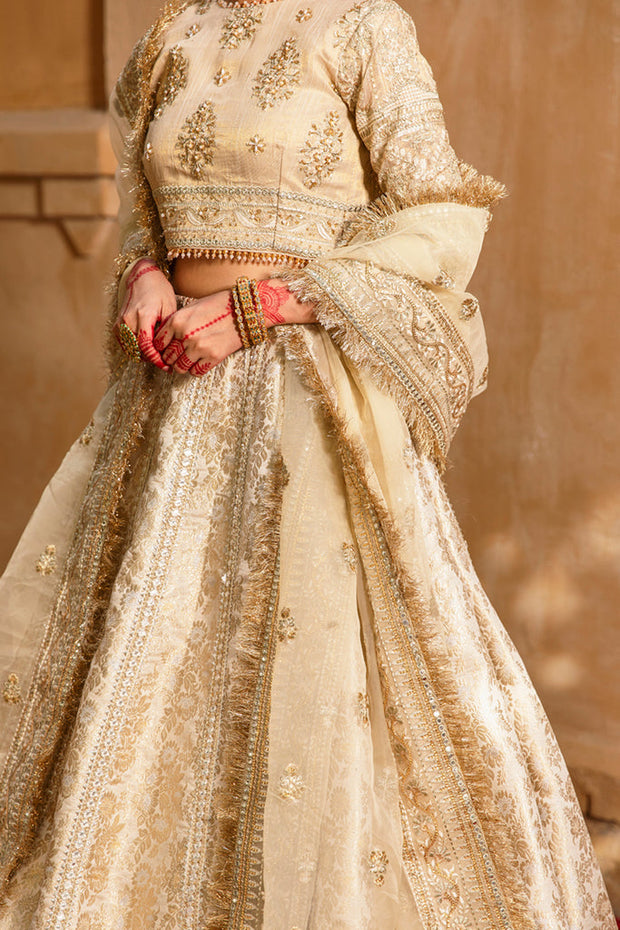 Classic Embroidered Pakistani Lehenga Blouse and Dupatta Dress