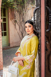 Classic Mustard Embroidered Kameez Trouser Pakistani Eid Dress