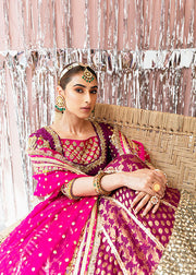 Classic Plum Lehenga Choli and Dupatta Pakistani Bridal Dress