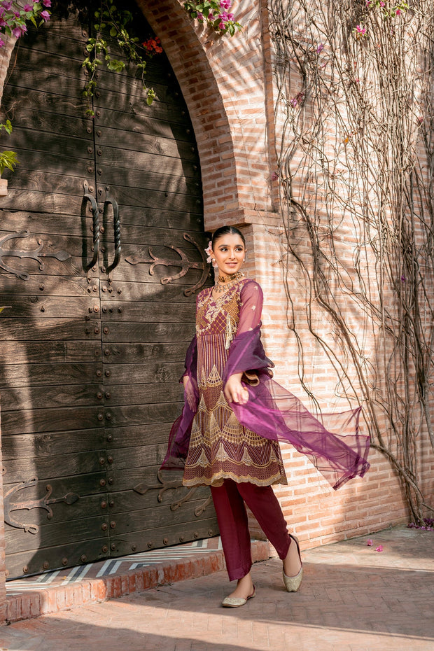 Classy Pakistani Peplum Frock and Trouser Dress for Eid Online