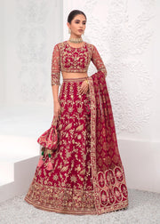 Deep Red Lehenga Choli Dupatta Indian Bridal Dress
