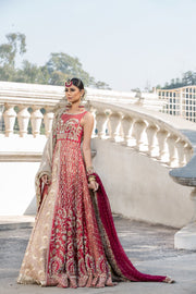 Beautiful designer pink dress with red gown and lehnga # B3342