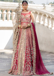 Beautiful designer pink dress with red gown and lehnga
