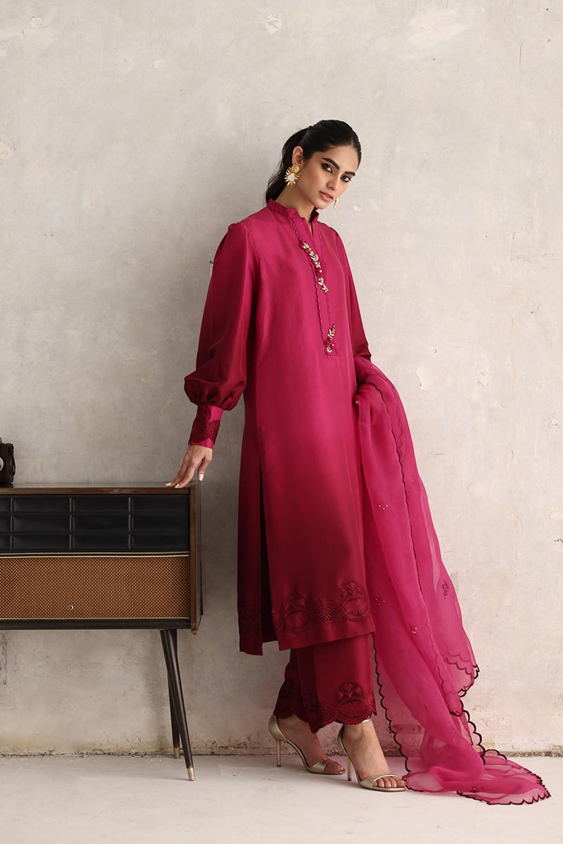 Desi Pakistani Dress