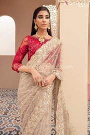 Desi Pakistani Dress