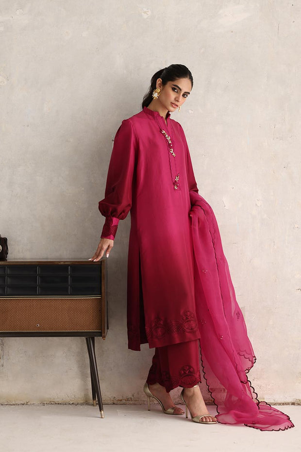 Desi Pakistani Dress