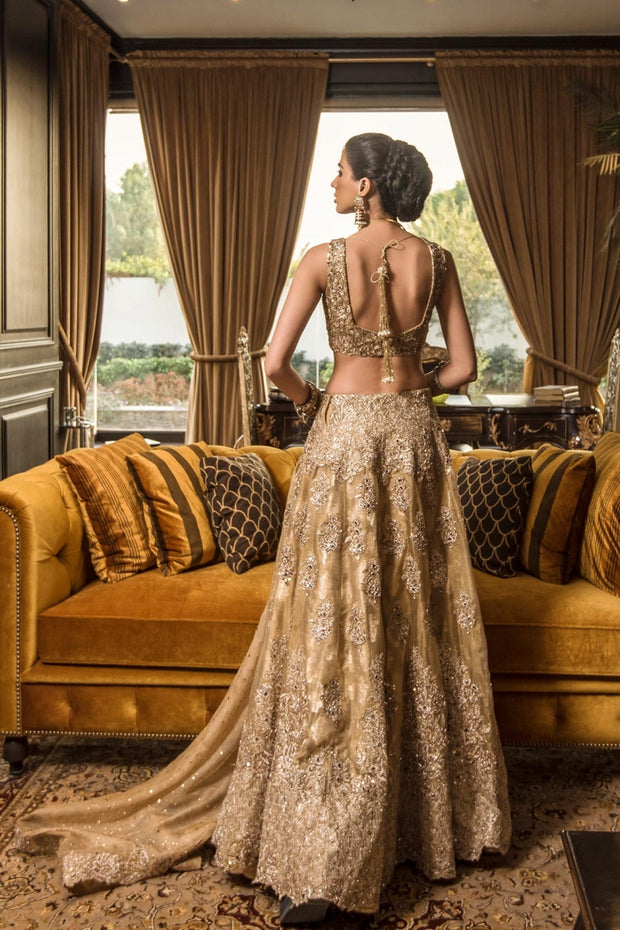 Designer Latest Lehnga Choli for Wedding Backside Look