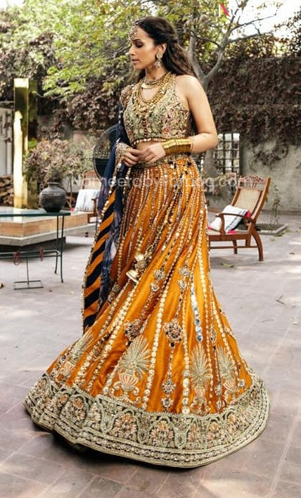 Designer Lehenga Choli 