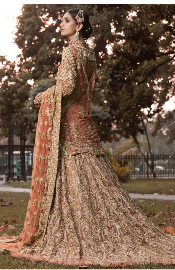 Designer Luxury Bridal Lehnga for Wedding Backside View