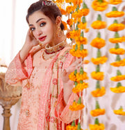 Designer Pakistani Fancy Dress