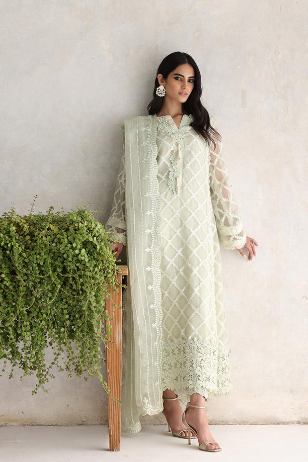 Designer Salwar Kameez