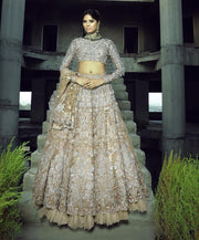 Designer Silver Grey Lehenga Choli Bridal Dress 