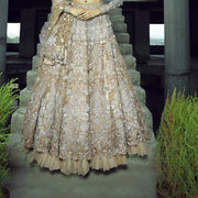 Designer Silver Grey Lehenga Choli 