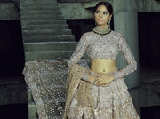 Designer Silver Grey Lehenga