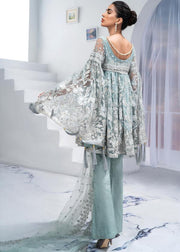 Designer embroidered net outfit 2020
