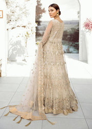 Designer embroidered net outfit