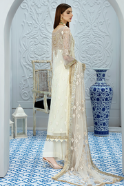 Designer embroidered net outfit