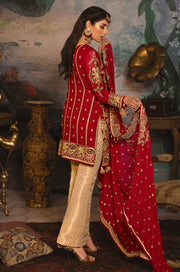 Dress from famous Pakistani designer collection